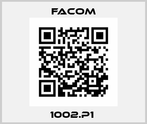 1002.P1  Facom