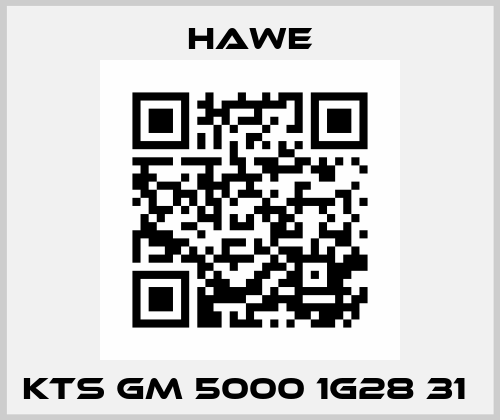 KTS GM 5000 1G28 31  Hawe
