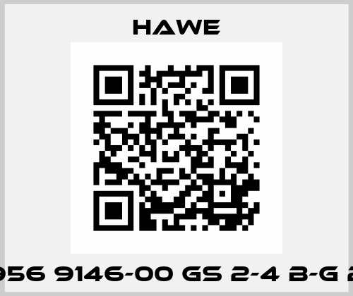 6956 9146-00 GS 2-4 B-G 24 Hawe