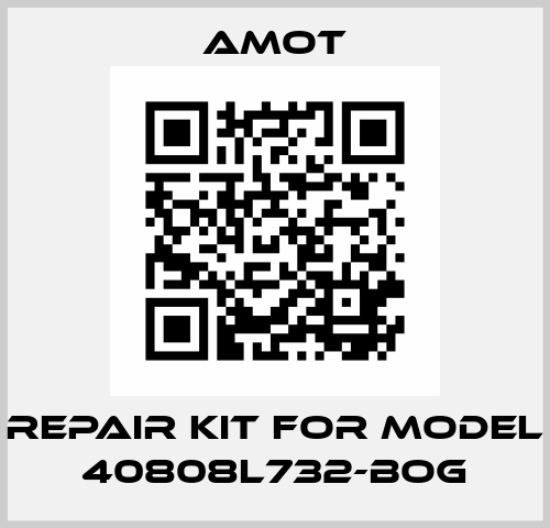 repair kit for Model 40808L732-BOG Amot