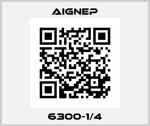 6300-1/4 Aignep