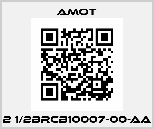 2 1/2BRCB10007-00-AA Amot