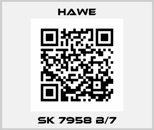 SK 7958 B/7 Hawe