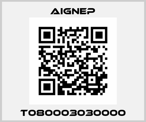 T080003030000 Aignep