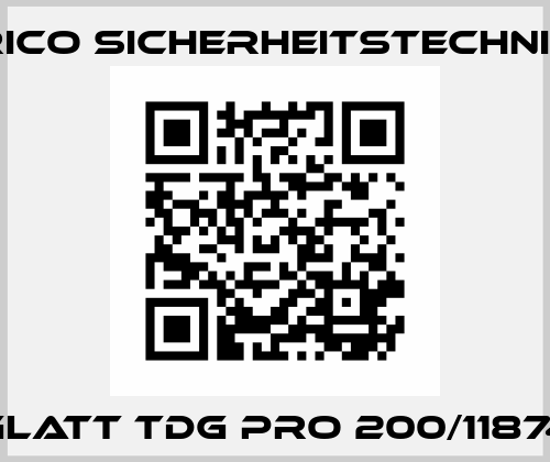 Glatt TDG PRO 200/11874 Rico Sicherheitstechnik